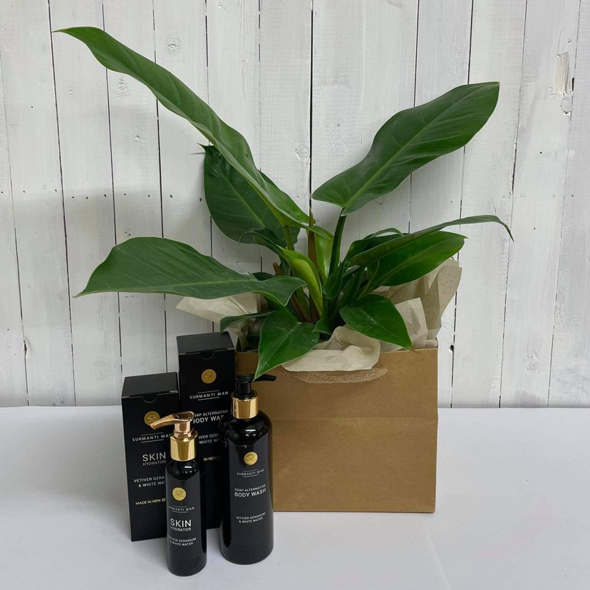 philodendron imperial green nz Best Gift Ideas for Men | Philodendron Birkin Bundle | Christchurch NZ – Moffatt's Flower Company