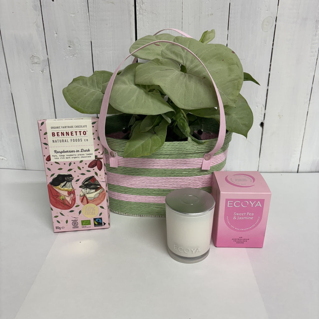 Potted Syngonium Confetti plant with a pink and green striped cute gift handbag basket, an Ecoya Scented candle, Bennetto Raspberry Chocolate 