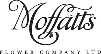 Florist Christchurch indoor plants flower delivery Moffatt's Flower Company