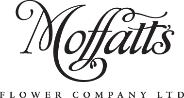 Florist Christchurch indoor plants flower delivery Moffatt's Flower Company