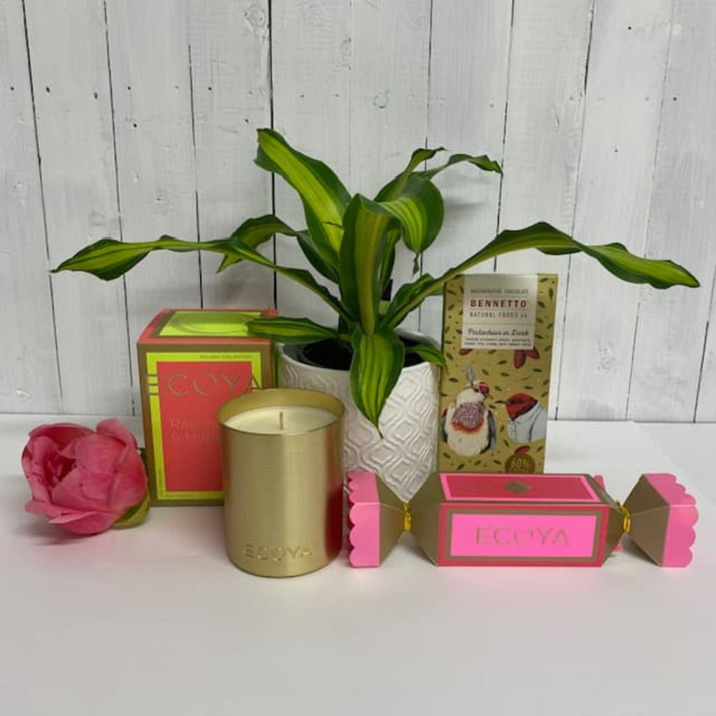 best xmas present moffatts flowers indoor house plants ecoya gifts bennetto chocolate
