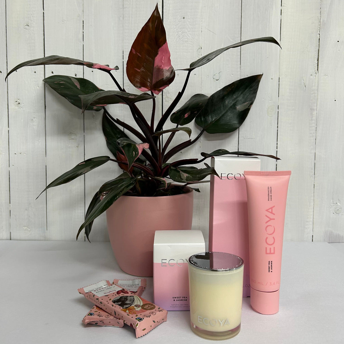 Perfectly Pink delightful Pink Princess plant and gift bundle