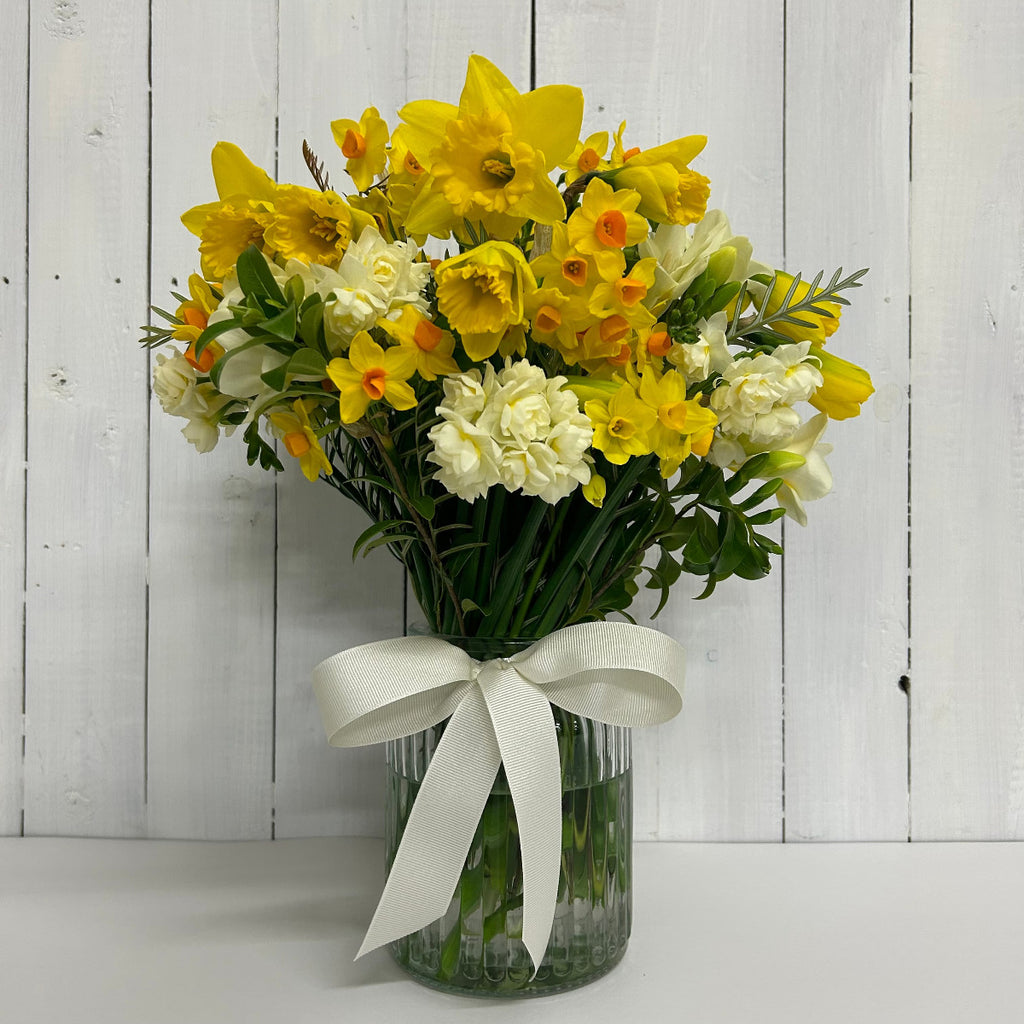 daffodils spring flowers best flowers chch online delivery 