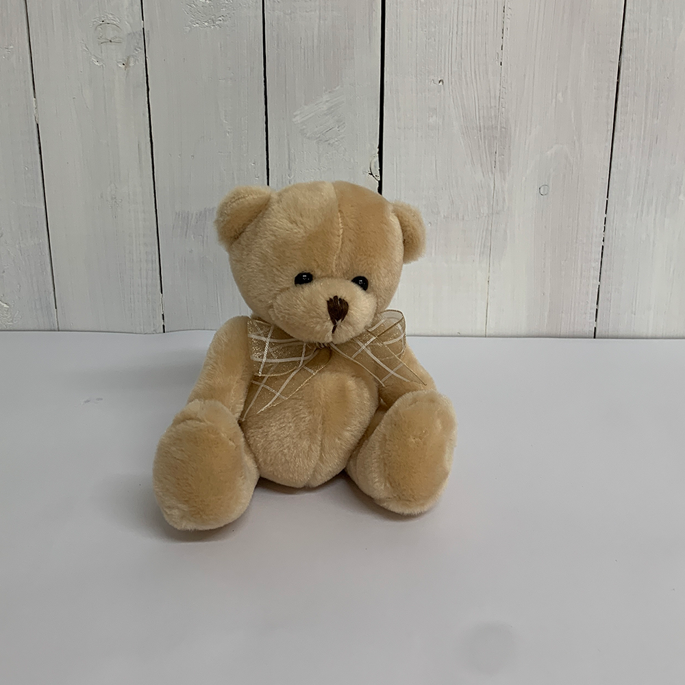 Teddy buy clearance