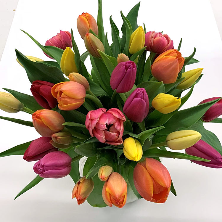 Fresh flower chch Mixed Tulip bouquet - pink, orange, yellow