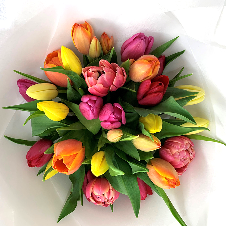 Mixed Tulip Bouquet chch flowers delivery 