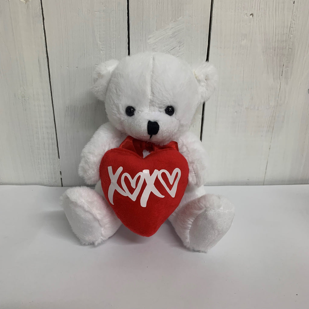 Cute gift Teddy bear Christchurch
