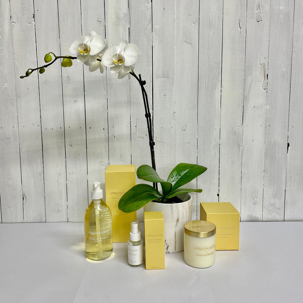 Orchid gift set budle Lyttelton Lights moffatts online