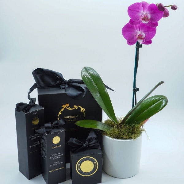Purple Phalaenopsis Orchid with Surmanti Gift Set