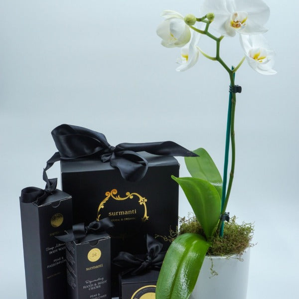 White Phalaenopsis Orchid with Surmanti Gift Set Mother's Day