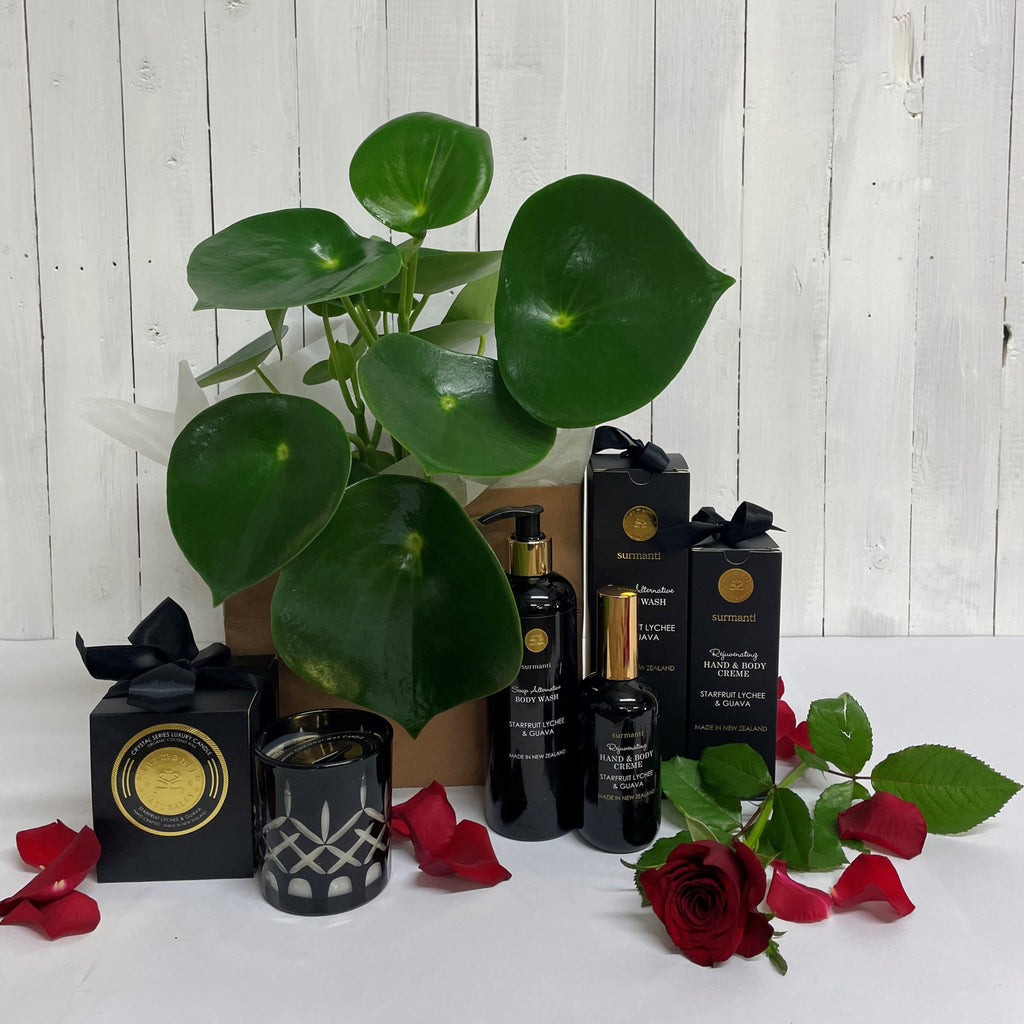 Buy Polybotrya houseplant gift bundle online
